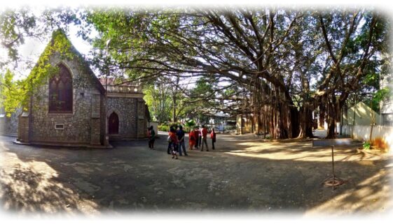 Heritage Beku – Preserving the City’s Soul Together