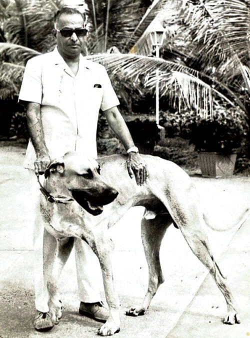N Krishnan with Sunny, the Great Dane who was his best friend