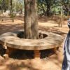Lady Banerji Seat