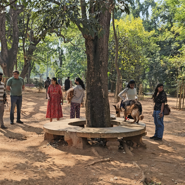 Lady Banerji Seat