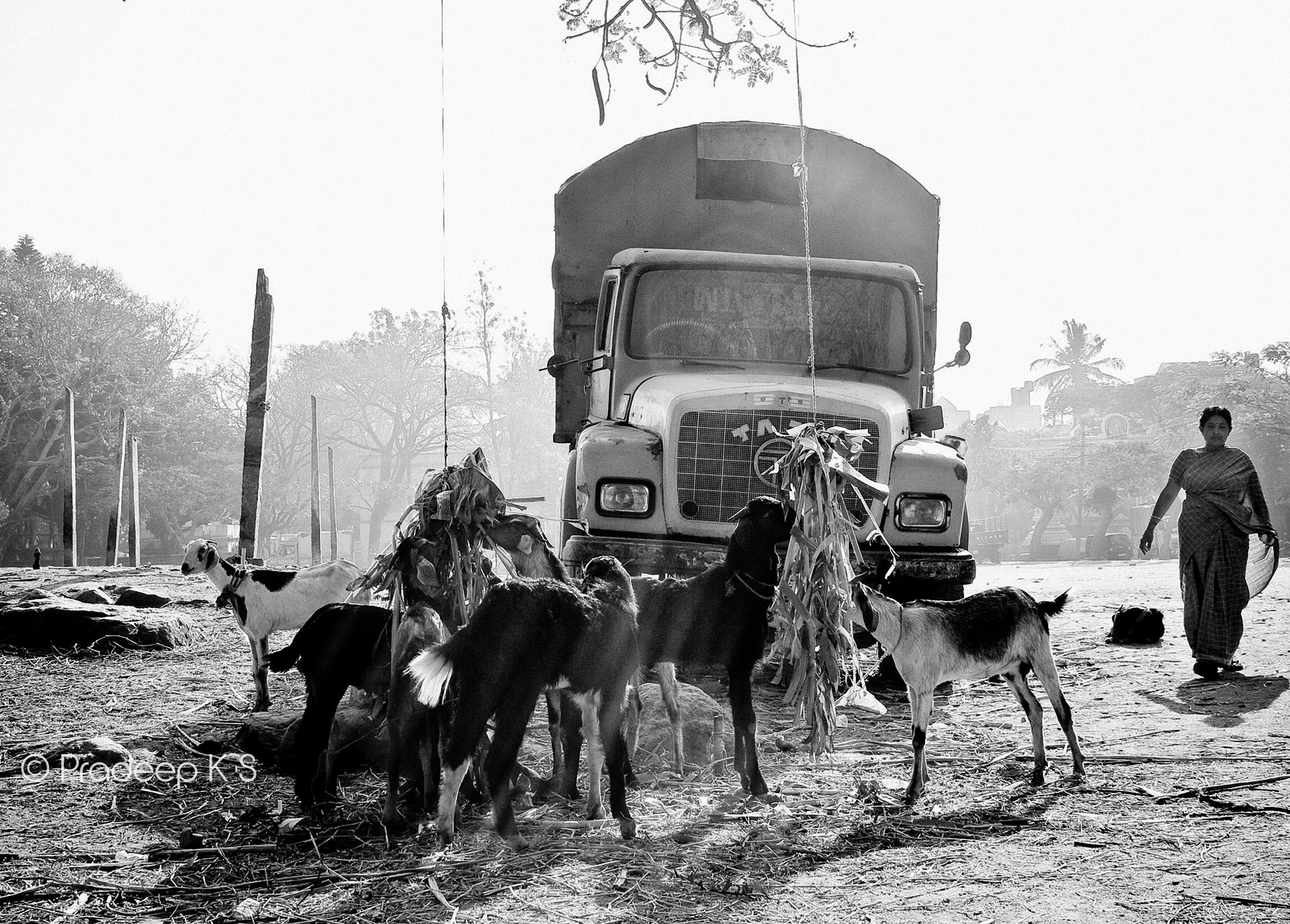 Chamarajpet Idgah Maidan - the first published photograph